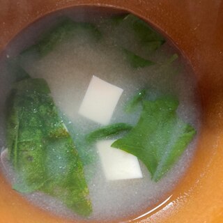 ほうれん草と豆腐の味噌汁